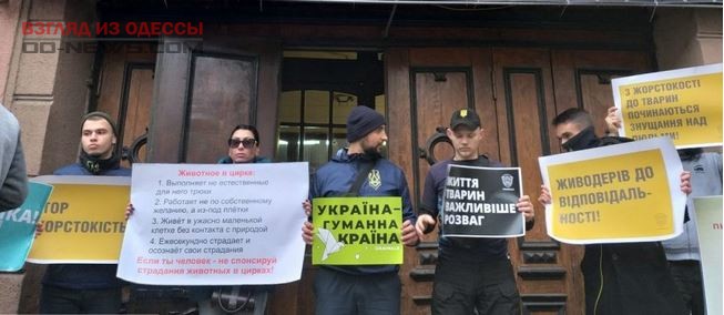 В Одессе прошли протесты зоозащитников: подробности