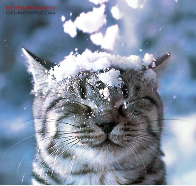 Одесситов к вечеру 15 ноября ожидается снег