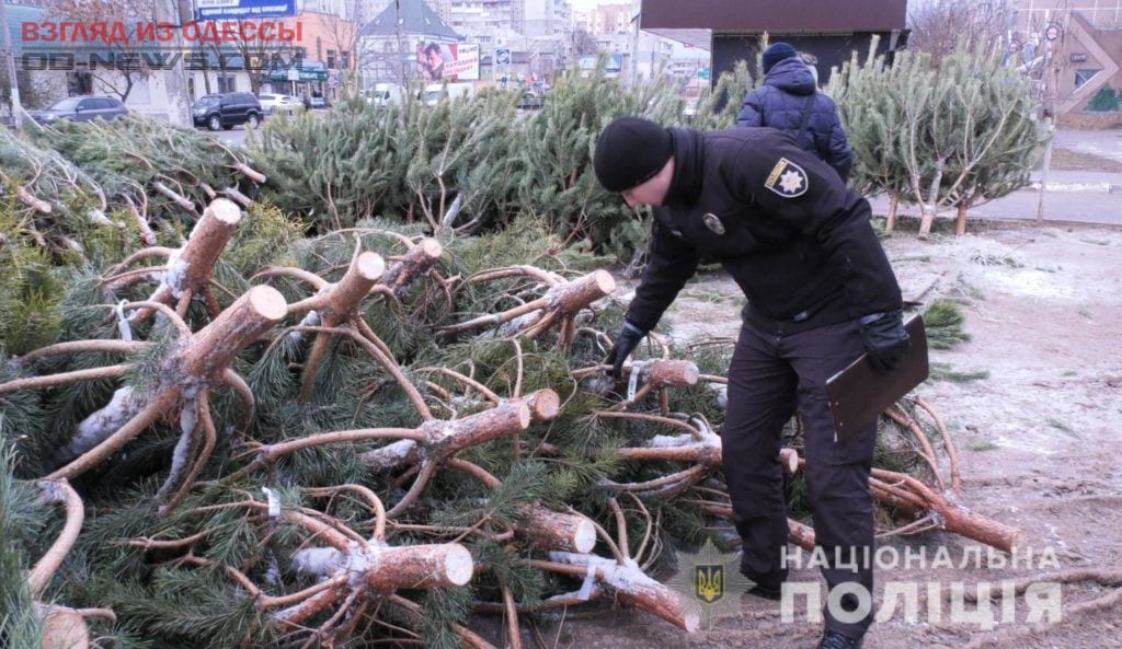В Одесской области проверяют законность торговли елками