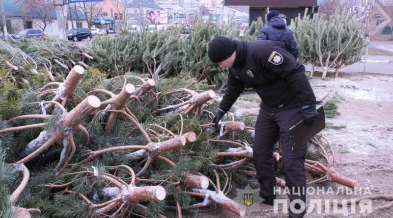 В Одесской области проверяют законность торговли елками
