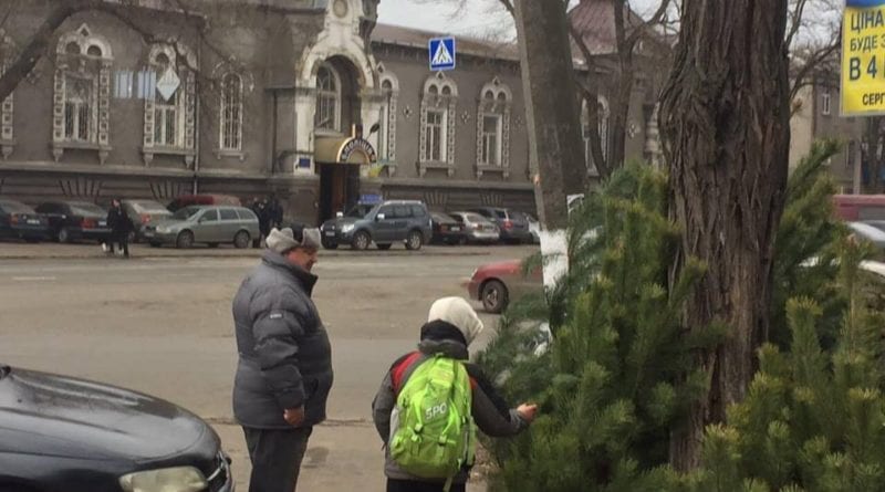В Одессе обнаружены места, где торгуют елками незаконно