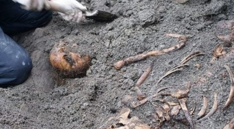 В Одессе рядом с частным домом найдены скелеты