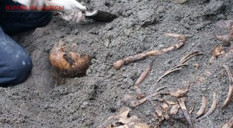 В Одессе рядом с часным домом найдены скелеты