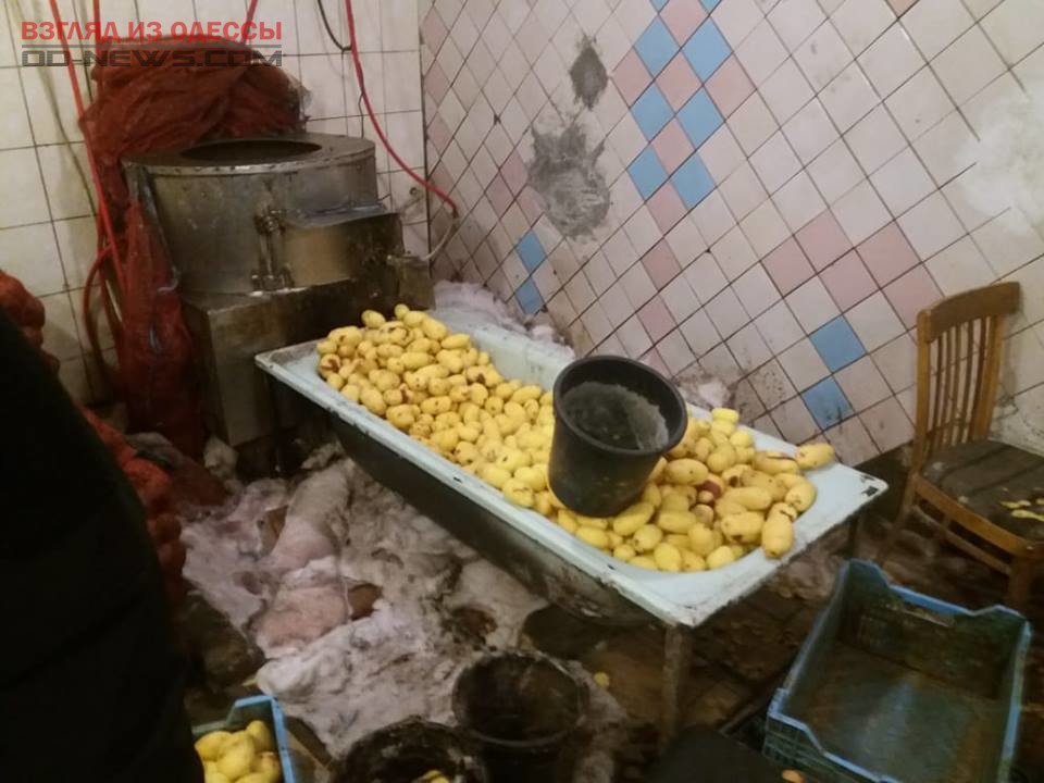 В Одессе обнаружен подпольный цех с ингредиентами для шаурмы