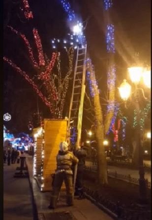В центре Одессы на дереве загорелась иллюминация