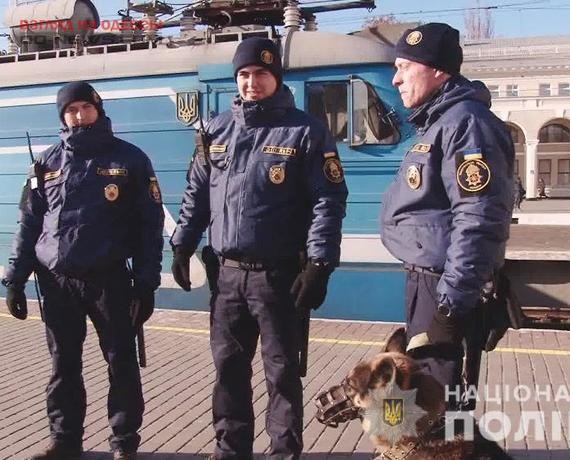 В Одессе кинологи с собаками дежурят вместе с правоохранителями