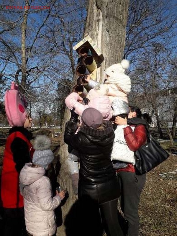 В Одессе жители вместе с детьми накормили птиц в парке