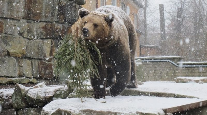 В Одесском зоопарке весело отметят Рождество