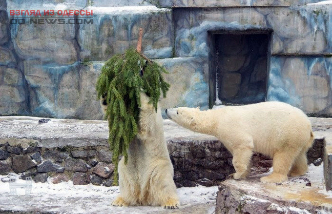 В Одессе зоопарк поддержал идею "не рубить деревья"