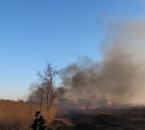 В Одессе около 5 часов боролись с быстро распространяющимся пожаром