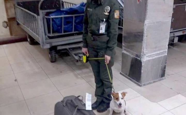 В аэропорту Одессы задержан пассажир с опасным грузом