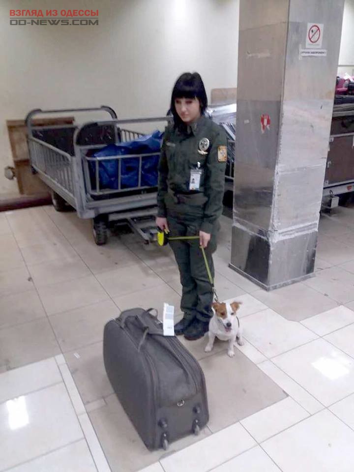 В аэропорту Одессы задержан пассажир с опасным грузом