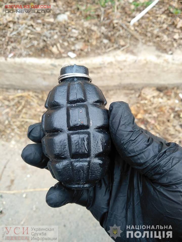 В Одесской области нашли «гранаты»