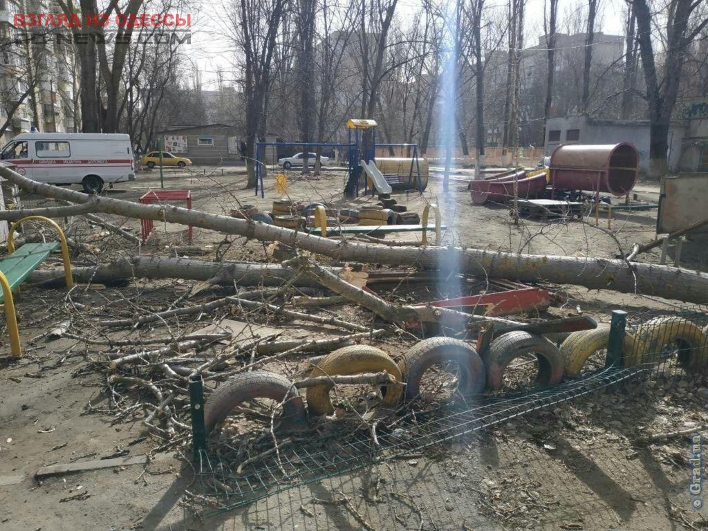 В Одессе на детскую площадку рухнуло дерево: есть ...