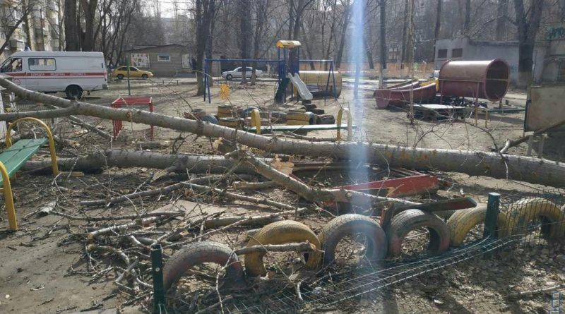 В Одессе на детскую площадку рухнуло дерево: есть пострадавшие