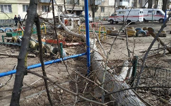 В Одессе стали известны подробности о пострадавшем из-за упавшего дерева мужчине