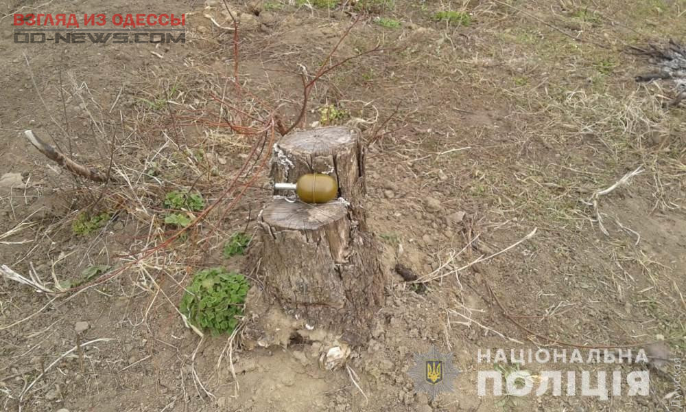 В Одесской области от взрыва гранаты погиб человек