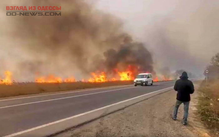 Под Одессой из-за пожара чуть не сгорел дачный кооператив