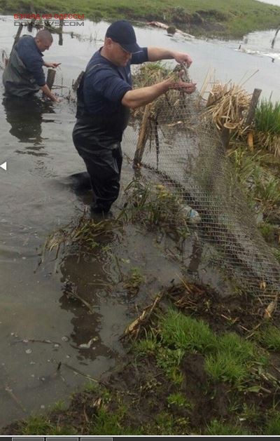 В Одесской области рыбный патруль предотвратил экологическую катастрофу