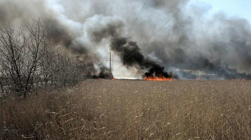 Масштабный пожар под Одессой стал экологической катастрофой
