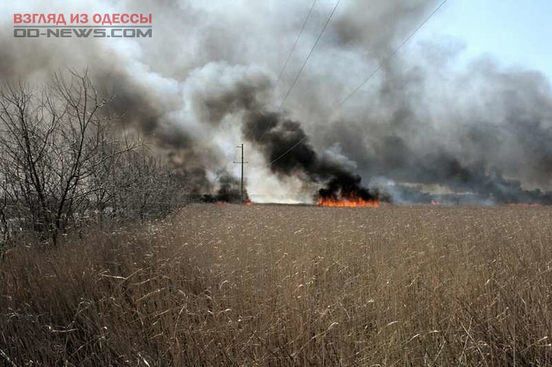 Масштабный пожар под Одессой стал экологической катастрофой