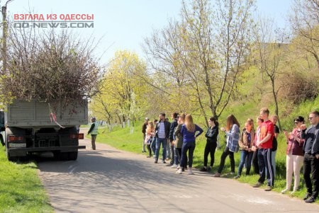 В Одессе прошла масштабная высадка деревьев