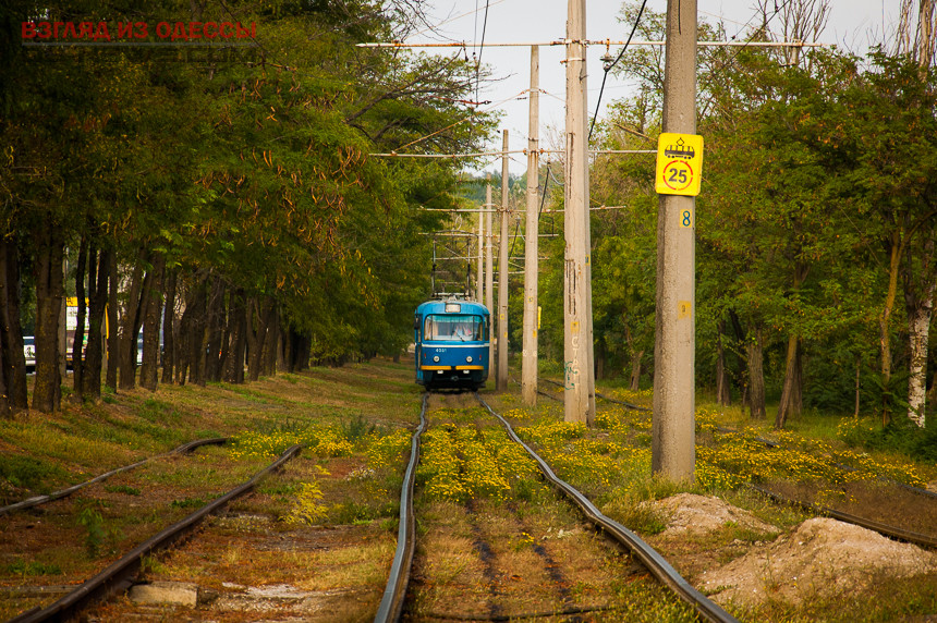 В Одессе запустят летний трамвайный маршрут