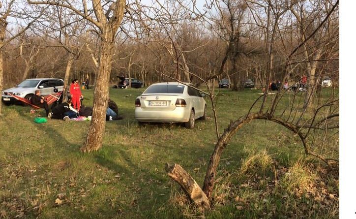 В Одессе автохамы нарушают правила парковки в зеленых зонах города