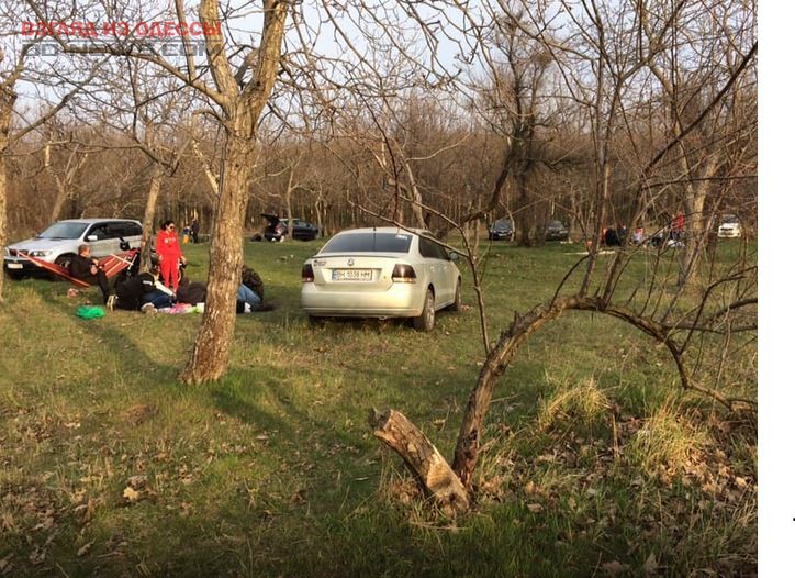 В Одессе автохамы нарушают правила парковки в зеленых зонах города