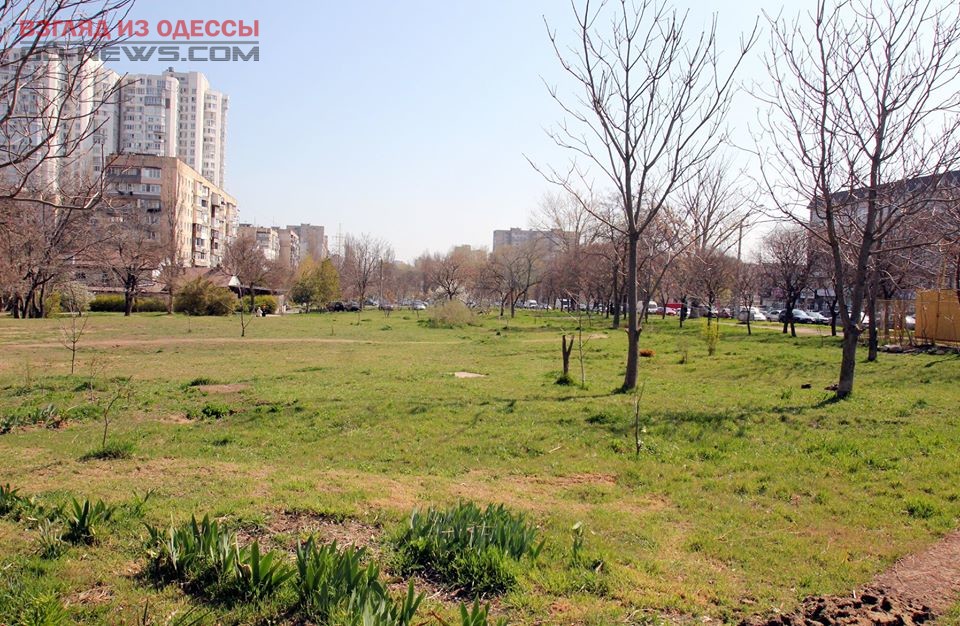 В Одессе хотят разбить парк в честь почётного гражданина города
