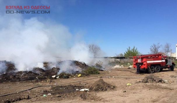 На одном из одесских кладбищ тушили масштабный пожар