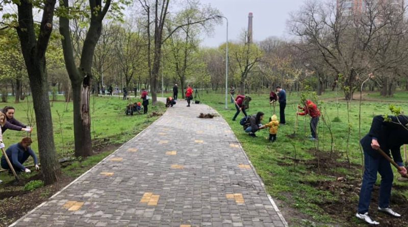 В одесском парке Победы появилась аллея сирени