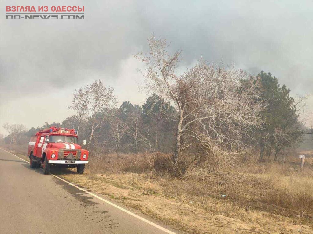 В Одесской области в лесничестве снова тушили пожар