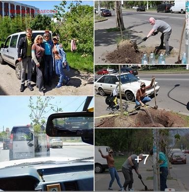 В Одессе на первомай высадили молодые деревья