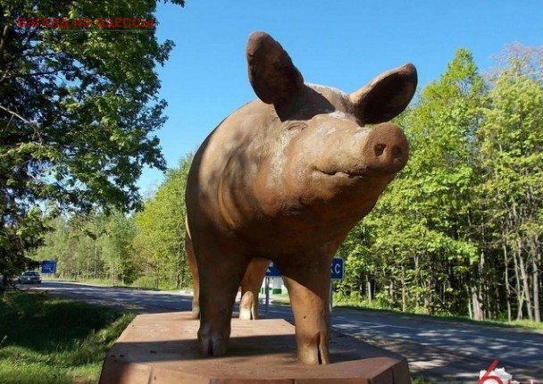 В Одесской области планируют установить памятник свинье