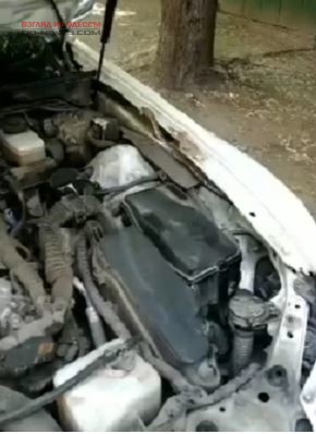 В Одессе автомобилист заметил страшного "пассажира"