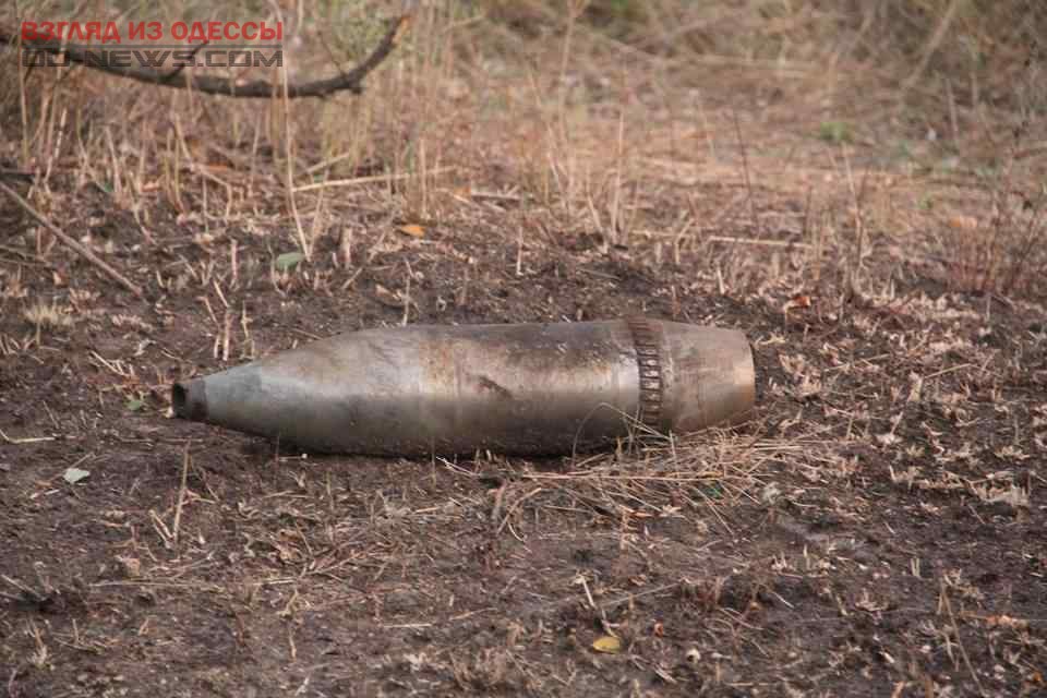 В парке Одессы обнаружили боевой снаряд