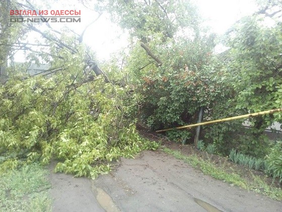 В городе Одесской области ураган разбушевался не на шутку