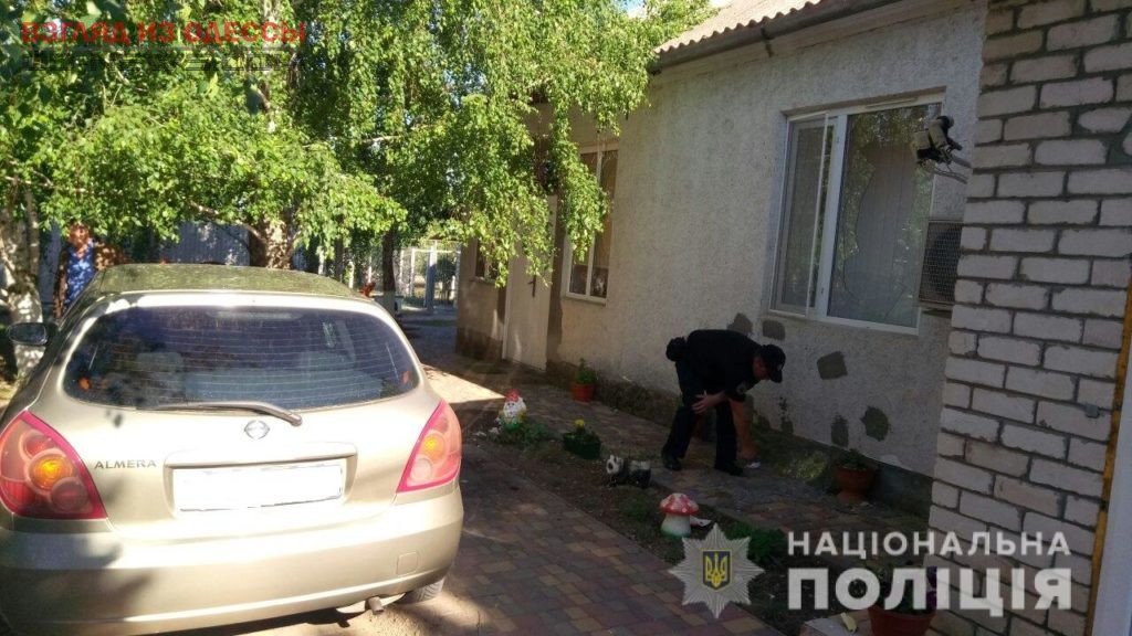 В Одесской области во дворе частного дома разорвалась граната (фото)