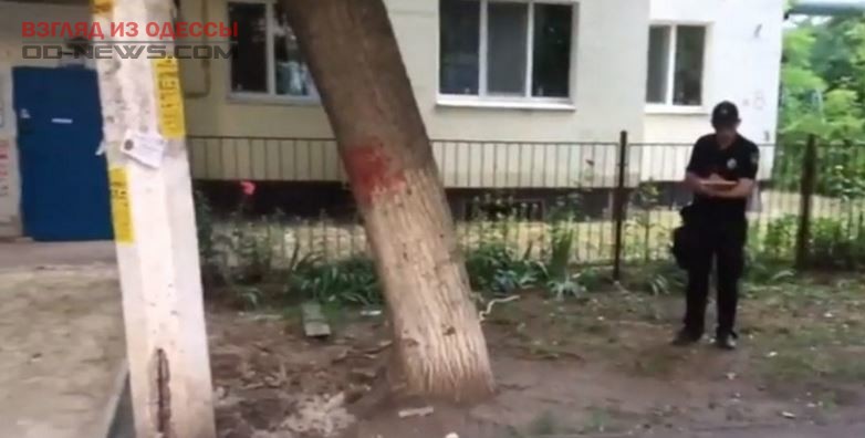 В Одессе двое пьяных напали на правоохранителей