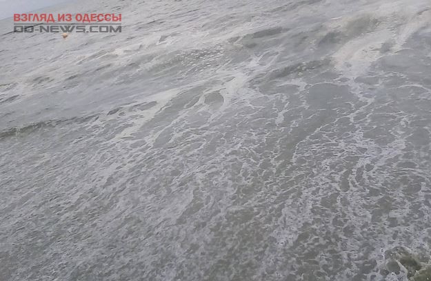 Состояние воды на одесском пляже пугает горожан