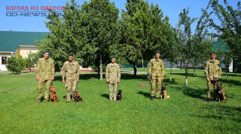 В отряды пограничников Одесской области вступили кинологи с собаками