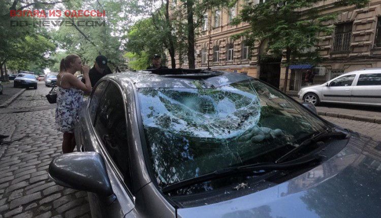 В центре Одессы рухнувшая ветка повредила движущийся автомобиль