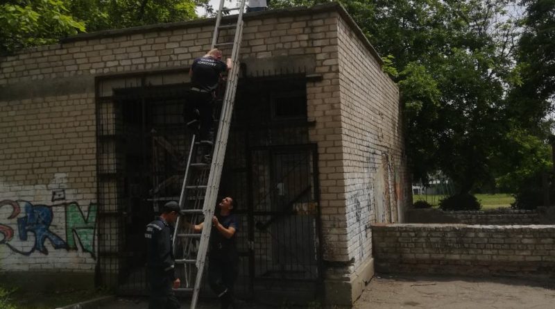 Одесские спасатели поспешили на помощь ребенку, оказавшемуся на опасной высоте