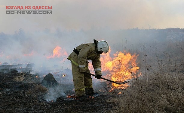 В Одесской области предотвратили гибель урожая от огня
