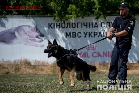 Одесская полиция использует четвероногих помощников