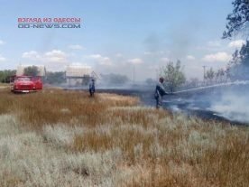 Под Одессой произошел масштабный пожар: горела база отдыха