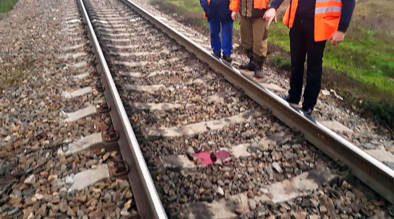 В Одесской области на железной дороге погиб человек