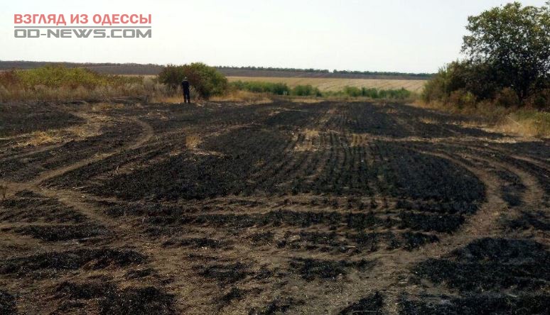 Под Одессой из-за пожара сухостоя погибла женщина