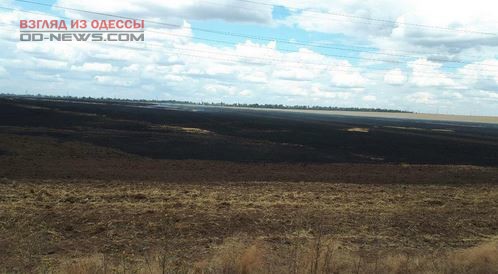 В Одесской области тушили обширный пожар